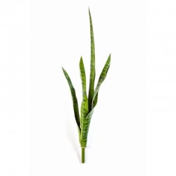 1007N-sansevieriya-kust-81cm-iskusstvennoe-rastenie-flora-by.jpg
