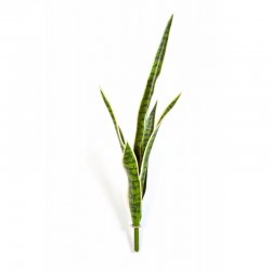 1007NG-sansevieriya-kust-81cm-iskusstvennoe-rastenie-flora-by.jpg