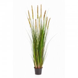 1040Lkamysh-lisiy-khvost-90-180cm-iskusstvennoe-rastenie-flora-by.jpg