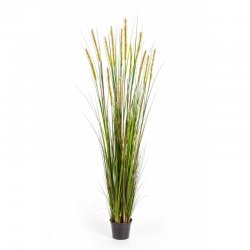 1040Lkamysh-lisiy-khvost-90-180cm-iskusstvennoe-rastenie-flora-by.jpg