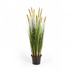 1040Nkamysh-lisiy-khvost-90-180cm-iskusstvennoe-rastenie-flora-by.jpg