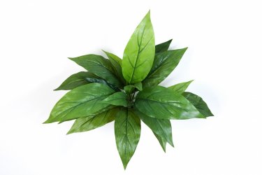 1080N-kordilina-miks-iskusstvennaya-30cm-flora-by.jpg