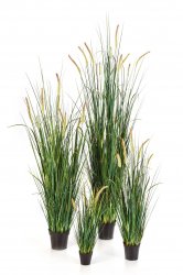 1103N       IMG_6879.jpg