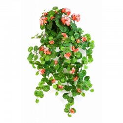 1157P-geran-ampelnaya-90cm-iskusstvennye-tsvety-flora-by.jpg