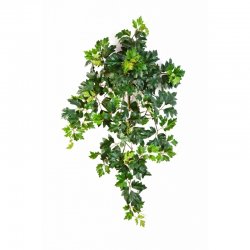 1190N-cissus-ampelnyy-90cm-iskusstvenniy-flora-by.jpg