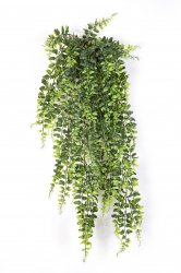 1400Npaporotnik-bostonskiy-80-140cm-ampelnyy-flora-by.jpg