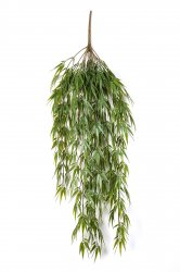 1402X-bambuk-ampelnyy-60-115cm-iskusstvennyy-flora-by.jpg