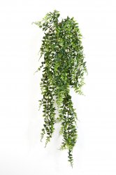 1417XLpaporotnik-bostonskiy-80-140cm-ampelnyy-flora-by.jpg