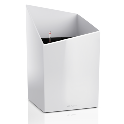 16600_product_image (1).png