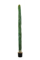 1833N-cereus-kaktus-180cm-iskusstvennyi-flora-by.jpg