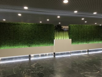 изгородь из самшитового ковра-samshit-kover-panel-25x25cm-vertikalnoe-ozelenenie-flora-by.jpg
