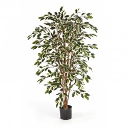 30105NW-fikus-nitida-pestrolistniy-iskusstvenniy-flora-by.jpg