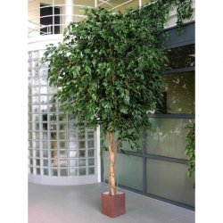 31210N-fikus-exotica-300-360cm-gigantskiy-iskusstvenniy-flora-by.jpg