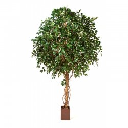 31212N-fikus-exotica-300-360cm-gigantskiy-iskusstvenniy-flora-by.jpg