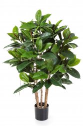 33804N-fikus-robusta-90-120cm-iskusstvenniy-flora-by.jpg