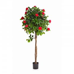 39305RS-kamelia-kremovaya-na-shtambe-130-160cm-iskusstvennoe-rastenie-flora-by.jpg