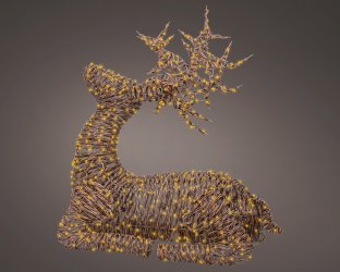 490587.jpg