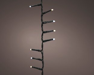 495279.jpg