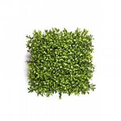 5926CP-samshit-kover-panel-25x25cm-vertikalnoe-ozelenenie-flora-by.jpg