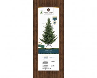 elka-premium-iskusstvennaya-gollandia-300cm-684818s1.jpg
