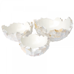 91062_coast_mopwhite_001.png
