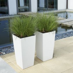 A_TRD_SQ30_2_w_Carex.jpg