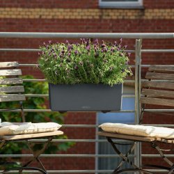 BALCONERA Color 50 Белый (1).jpg