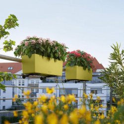 BALCONERA Color 50 Белый (3).jpg
