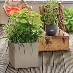 CANTO Stone 30 low steingrau.jpg