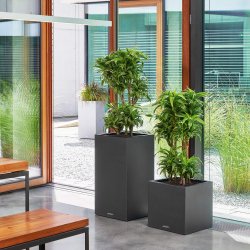 CANTO Stone 40 high graphitschwarz.jpg