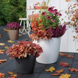 CLASSICO Color 35 weiß (2).jpg