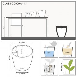 CLASSICO Color 43 Белый (1).jpg