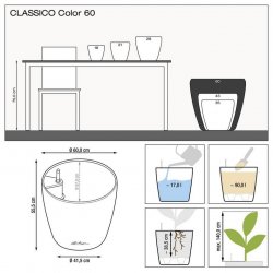 CLASSICO Color 60 бежевый.jpg