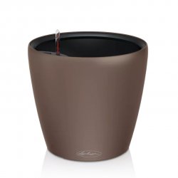 CLASSICO Color LS 21 nutmeg.jpeg