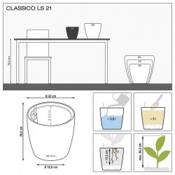CLASSICO Color LS 21 sand brown (2).jpeg