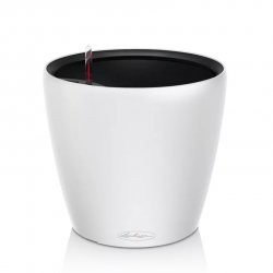 CLASSICO Color LS 21 white.jpeg
