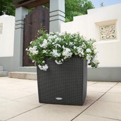 CUBE Cottage 50 weiß (3).jpg