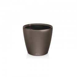 Classico LS espresso.jpg