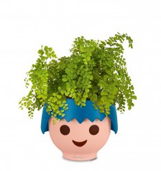 FP_OJO_Explorer_blau_Adiantum_2019_leer.jpg