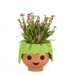FP_OJO_Fee_gruen_Dianthus_2019_leer.jpg