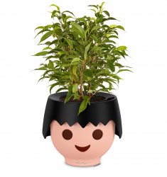 FP_OJO_Ritter_schwarz_Ficus_2019_leer.jpg