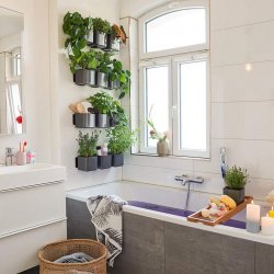 Green Wall Home Kit Glossy белый блестящий (1).jpg
