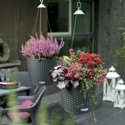 NIDO Cottage мокка (2).jpg
