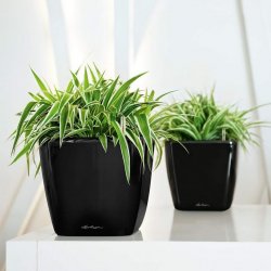 QUADRO LS 21 Антрацитовый металлик (2).jpg