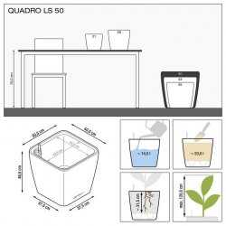 QUADRO LS 50 Ярко-красный блестящий (1).jpg