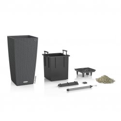 R_SQ_CTG30_gra_Set_2012.jpg