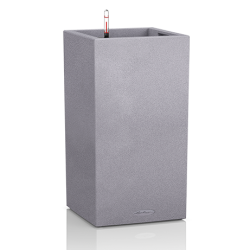 cantro_color 30х56.png