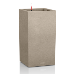 cantro_color_s_sbeige_large.png
