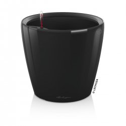 cl43ls black.jpeg