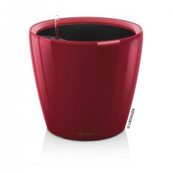 cl43ls red.jpeg